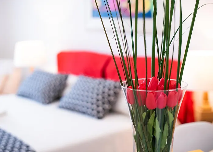 Toma Street 住宿加早餐酒店